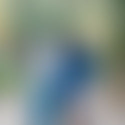 Gomez 2021 Family Portraits | Northern Nevada Portrait Photographer