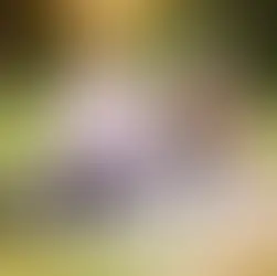 Baby Jayden is 5 months Old | Sacramento Belly to Baby Photographer