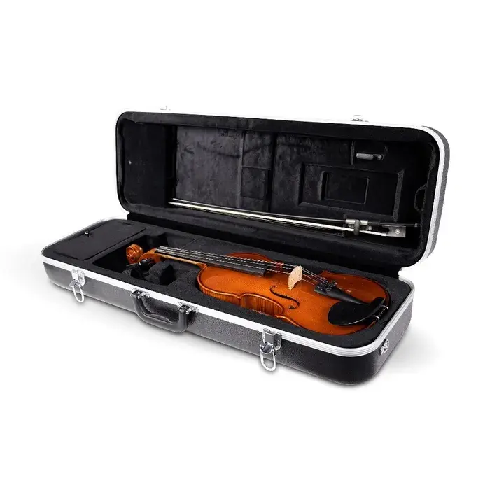 Miniatura: Gator Andante violin case shown open, with violin inside