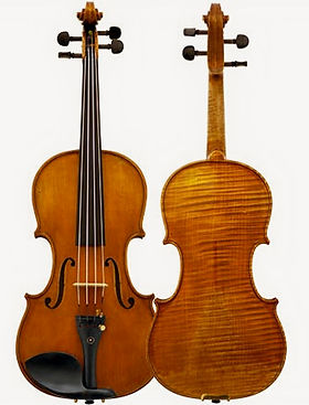 Violin front and back