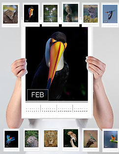 Calander Sale.jpg