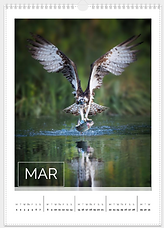March 2027