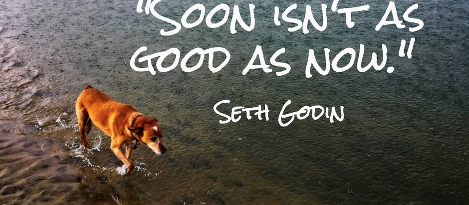 Happiness Is Getting S**t Done
