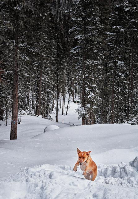 Sam in action at Taos Ski Valley, New Mexico