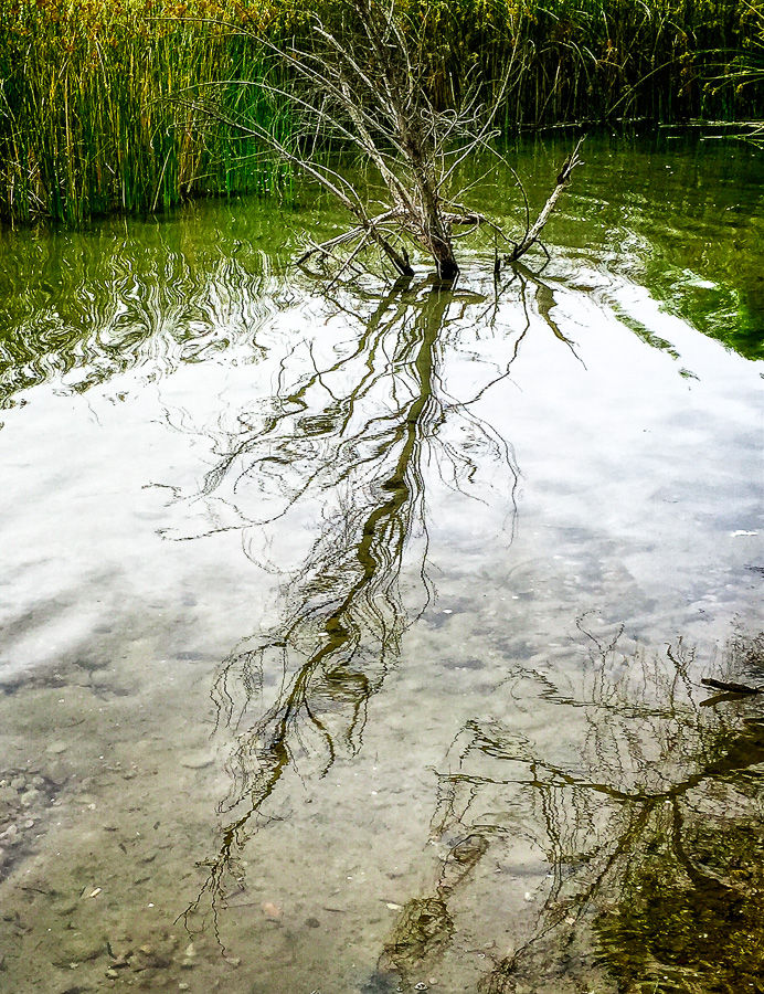 Small Lake, Big City