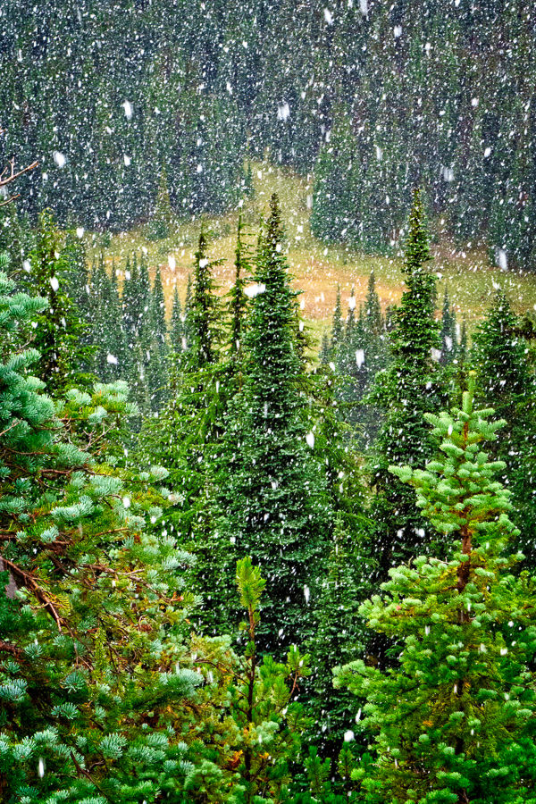 Louise Lake, Mt. Rainier, Washington