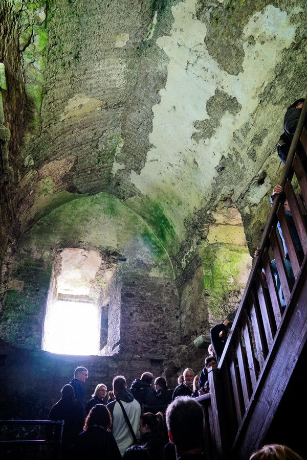 Blarney Castle window