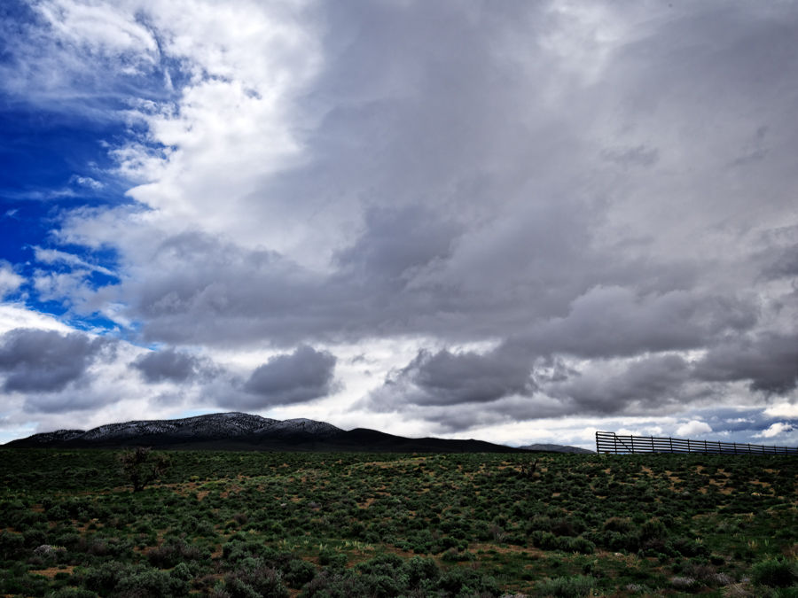 Nevada fence