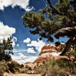 Can’t Get Enough at Arches National Park