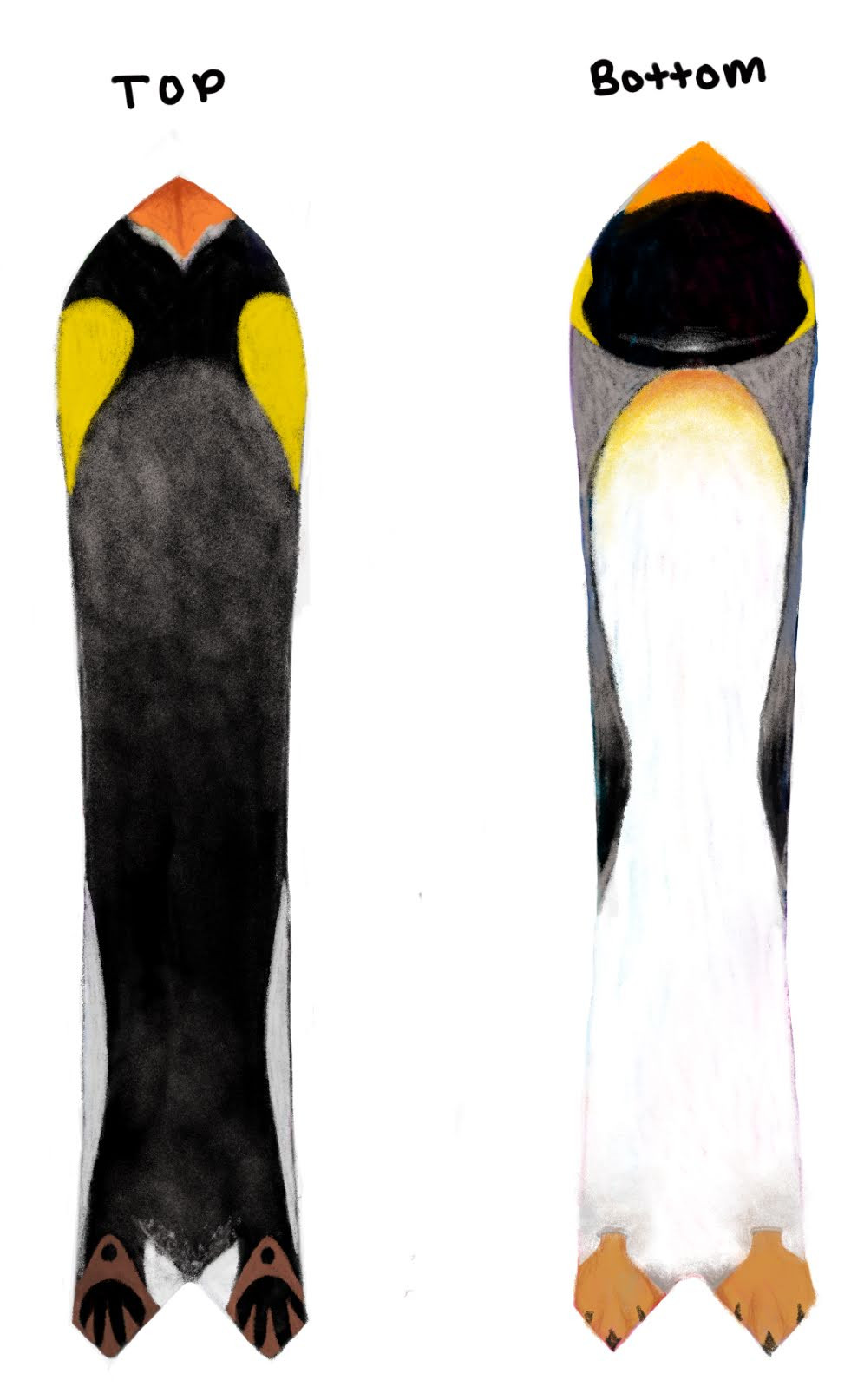 Penguin Powder Board