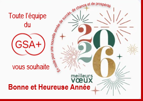 Très Bonnes Fêtes de fin d'année