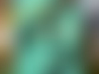 Grieving and the Holidays