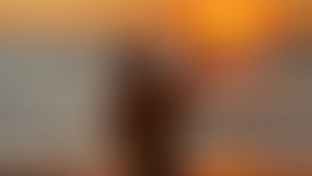 Finding Inspiration and Positivity Through Your Midlife Journey