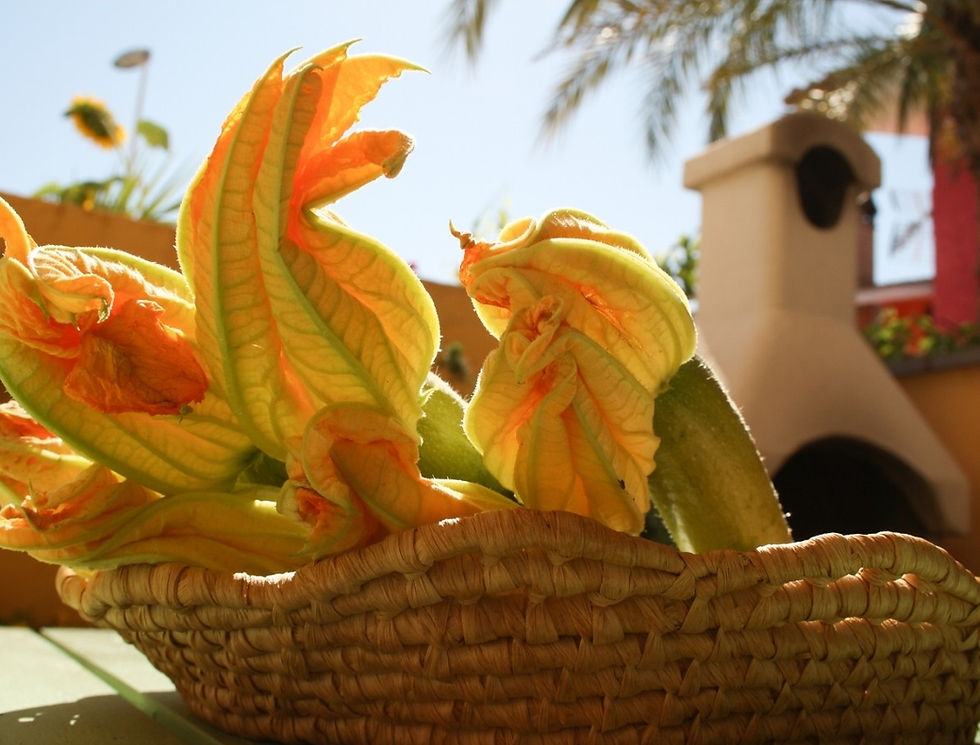 Courgette flowers