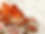 Christmas Baking with sprinkles.png