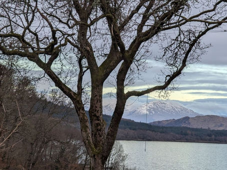 From Long January to First Light: Celebrate St Brigid’s Day, Imbolc & Cooking Towards Spring