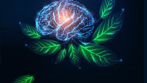 Mas as plantas não são seres vivos também?
