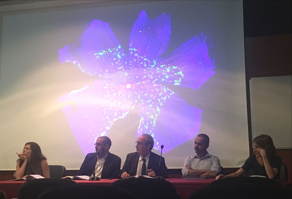 Luiss thesis guidelines image