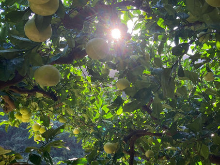 ちょっと一安心