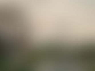 昨日の最低気温が今日の最高気温くらい、そんな寒々とした雨の日