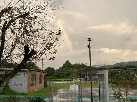 昨日の最低気温が今日の最高気温くらい、そんな寒々とした雨の日