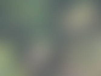 文旦の日焼け止め