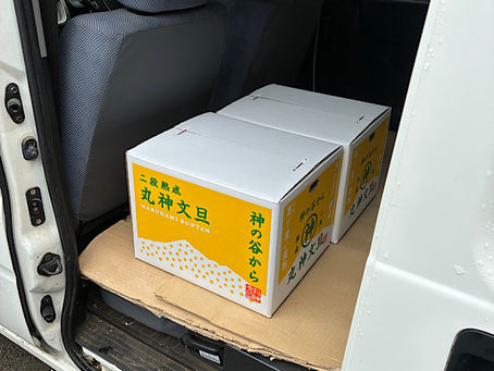 今週、日曜日も