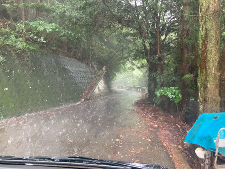 恵みの雨。夕立ち