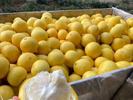 JA出荷の次は〜
