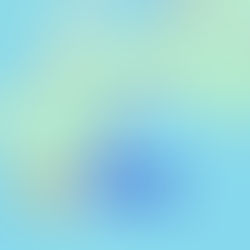 宿毛市へ文旦視察