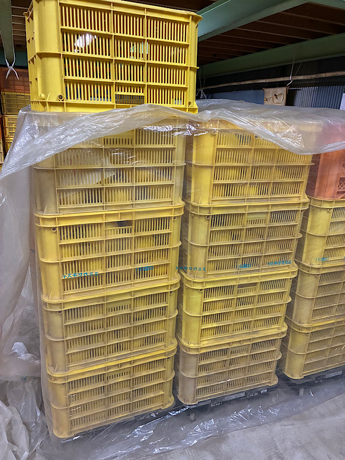 1日があっという間