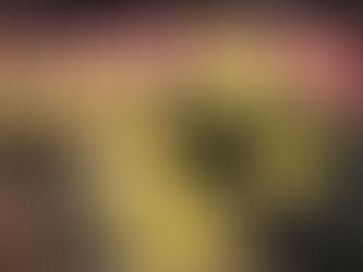 台湾パイナップル