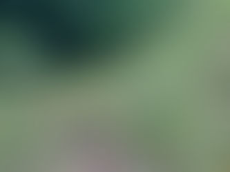 雨の日、草刈り〜