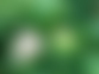 ガムテープ貼り