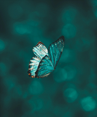 change transformation healing