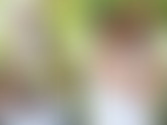 A Family Photography Session – To celebrate the arrival of a much-awaited baby