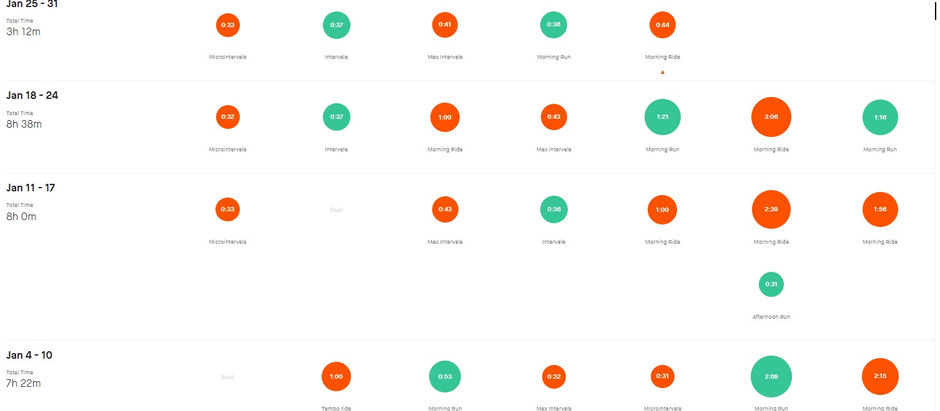 Jurnal antrenament ianuarie 2021
