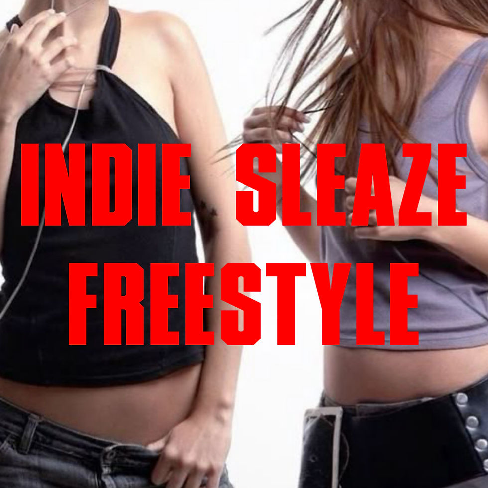 indie sleaze set