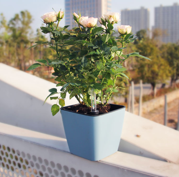 Self-Watering Smart Flower Pot with Absorbent Base