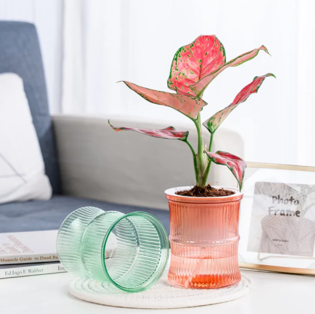 Self-Watering Transparent Mini Plant Pots