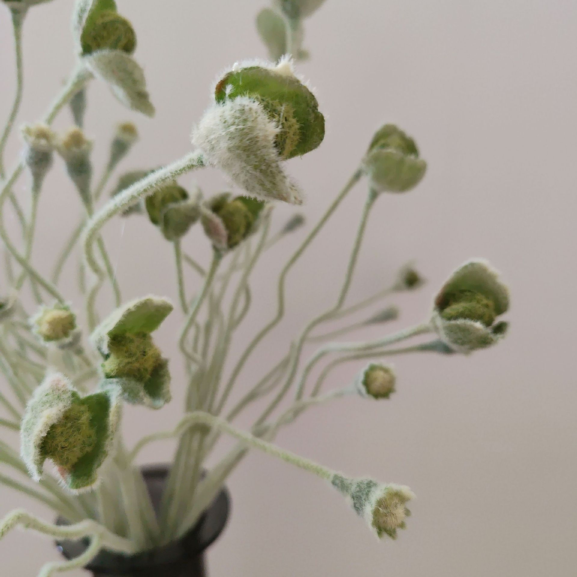 Artificial Green Plants Branch DIY Simulation Flower Decorative With Plush Flowe