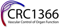 CRC logo FINAL_long_black characters.webp