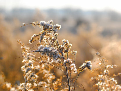 June/July 2018 Newsletter