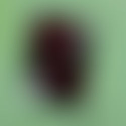 We are living through a paradigm eruption, not a paradigm shift.