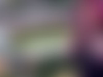 Jess Glynne to Play Wrexham's Racecourse Ground Next Summer!