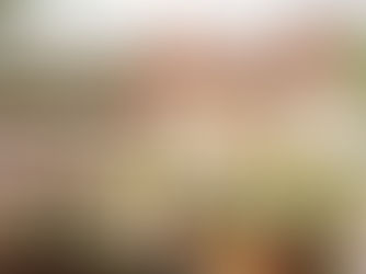 Rob McElhenney to beautify Wrexham park in honour of Ryan Reynolds’ birthday!