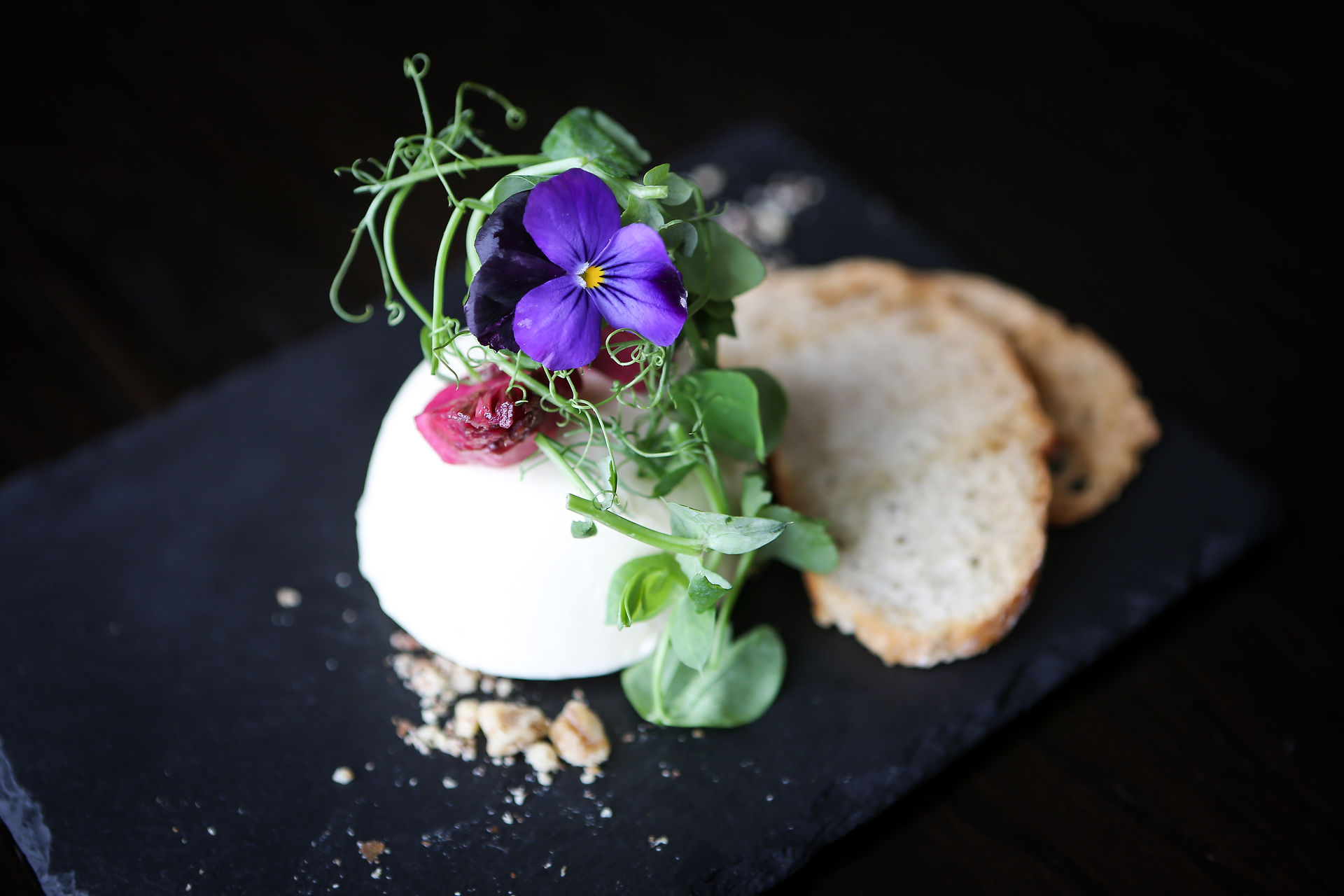 Starter Goats Cheese Panna Cotta
