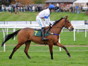 Bangor on Dee Racecourse Announces Appearance of Equine Ambassador at Family Day Fixture this Saturday!