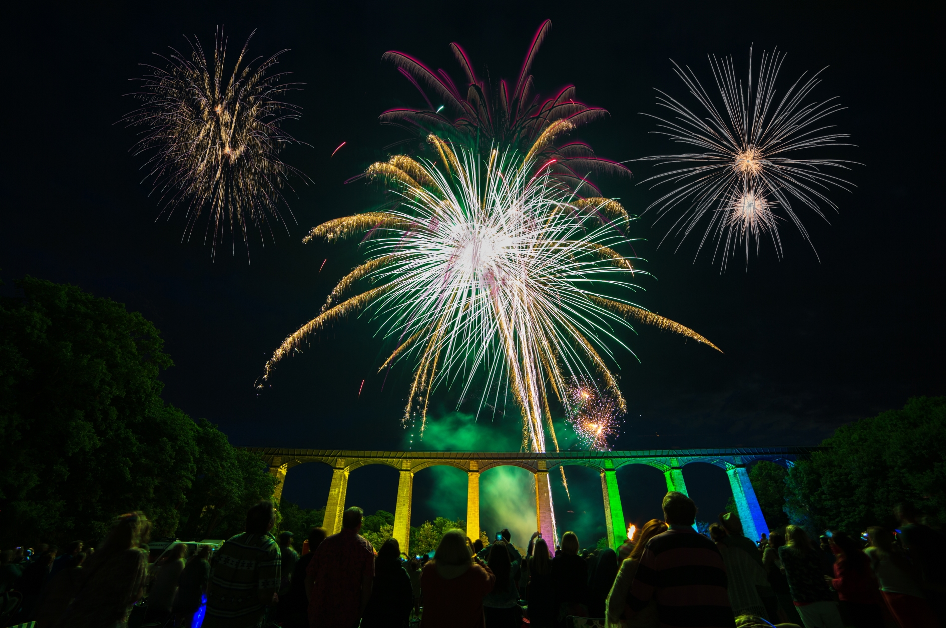 Writer: This Is Wrexham