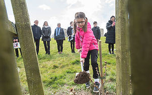 Planting the Pontfadog Oak ©National Trust Images Paul Harris.jpg